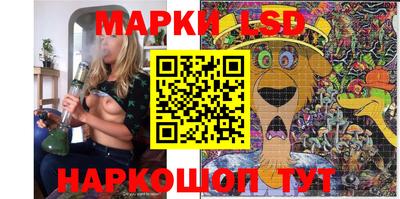 дживик Моздок