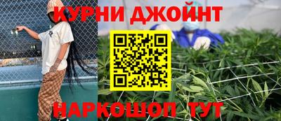 дживик Моздок