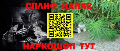 дживик Моздок
