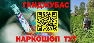 прущие крисы Можга