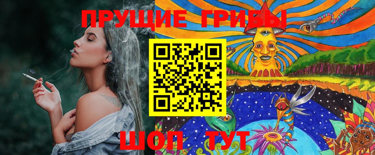 Галлюциногенные грибы GOLDEN TEACHER Губкинский
