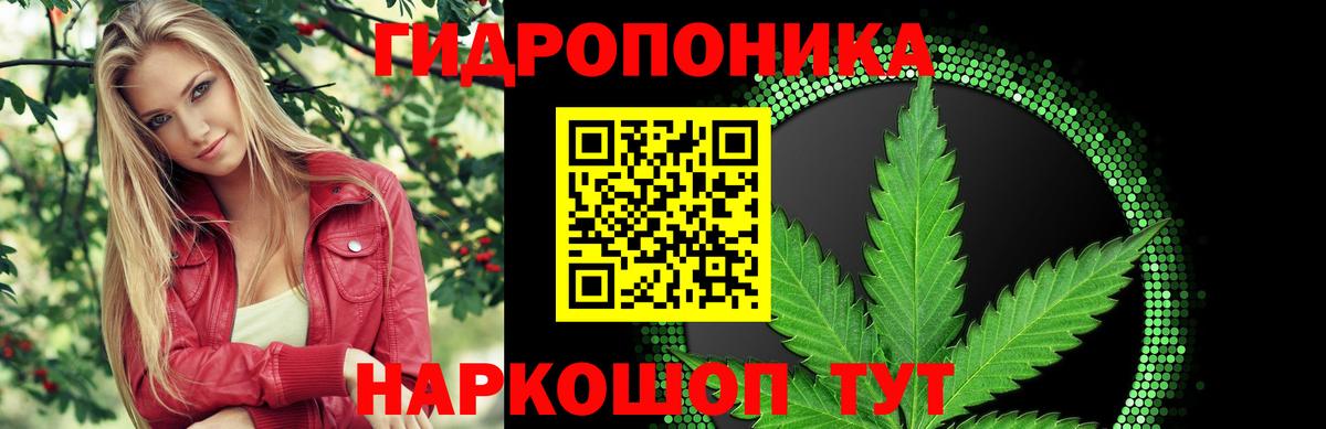 Каннабис ГИДРОПОН  Вход с VPN  Канабис план  Конопля гибрид  Губкинский 